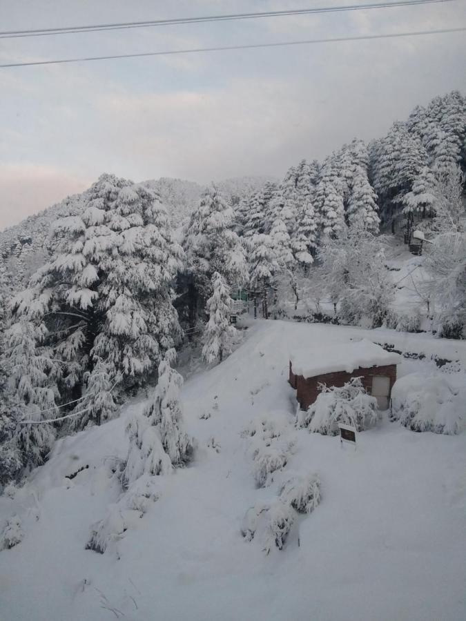 Hotel Green Orchid Udhampur Экстерьер фото